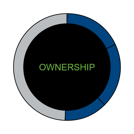 infographic image