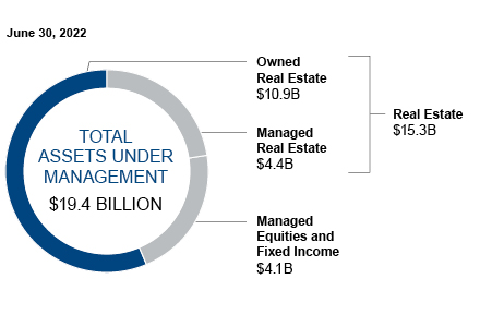 This pie chart shows the total assets under management.