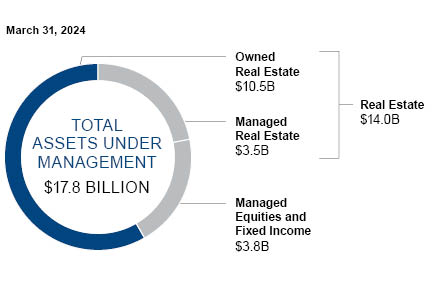 This pie chart shows the total assets under management.